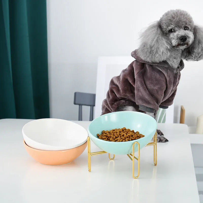 Ceramic pet bowl in blue with non-slip shelf, size M 600ml, on a wooden floor