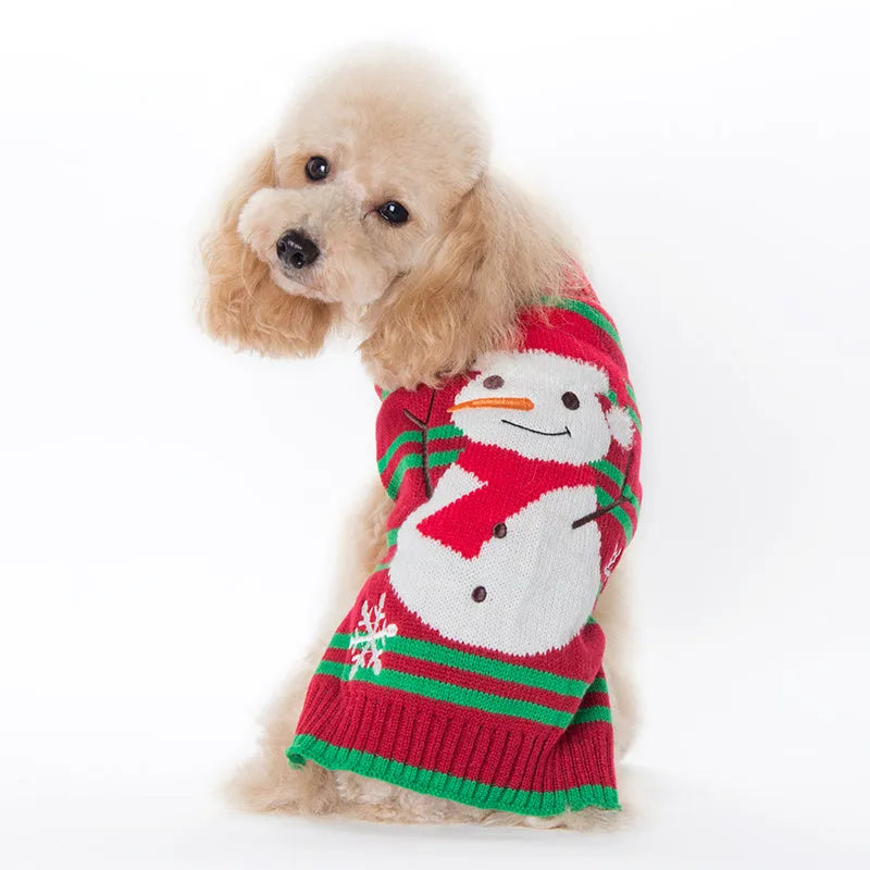 Small dog wearing a black acrylic Christmas sweater with colourful pompoms, standing indoors