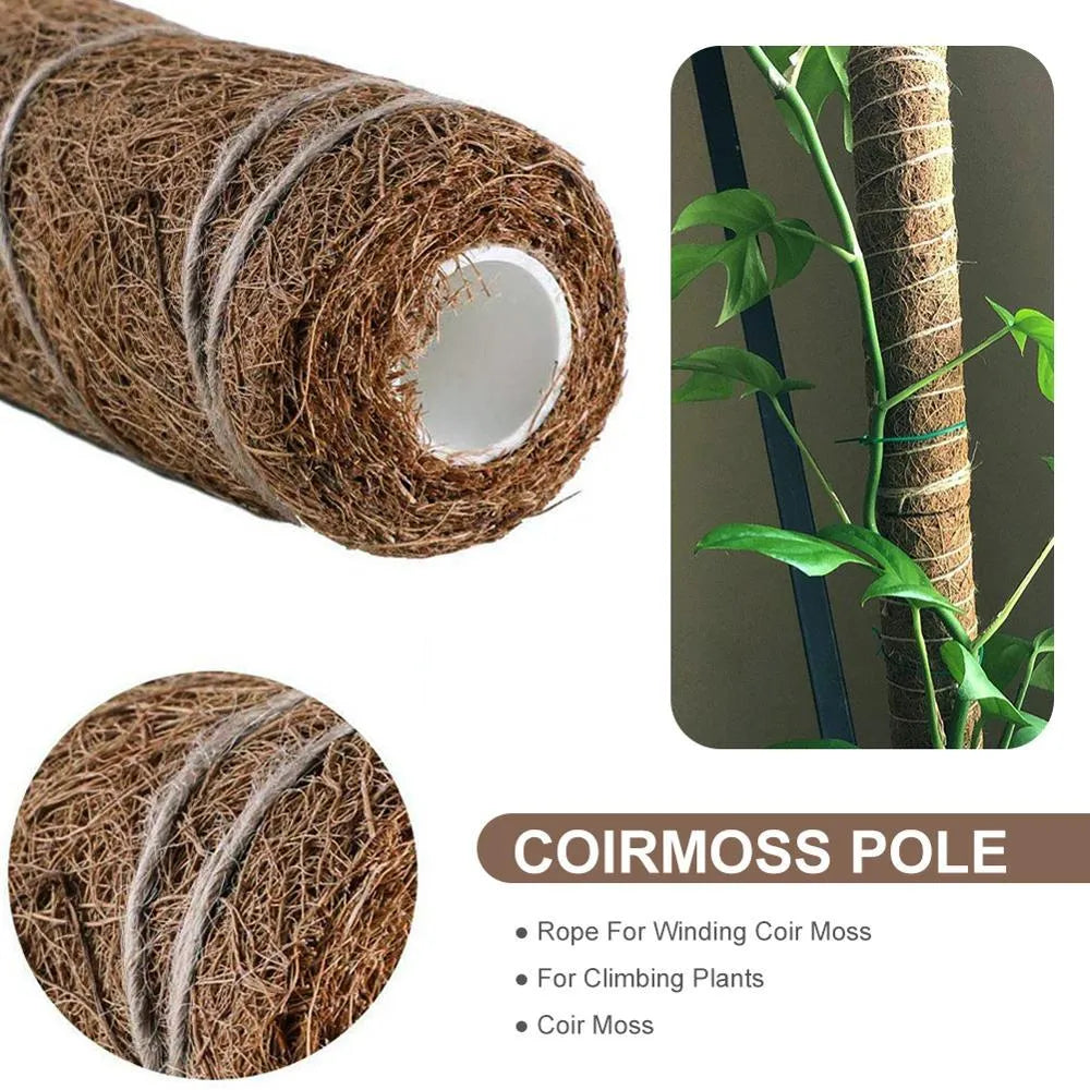 Coconut palm moss pole plant support stick, 17.7 inch wooden pole with natural coconut fibre wrap