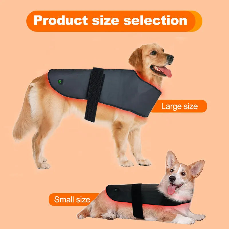 L size black pet red light infrared physiotherapy instrument with timing function for dogs and cats