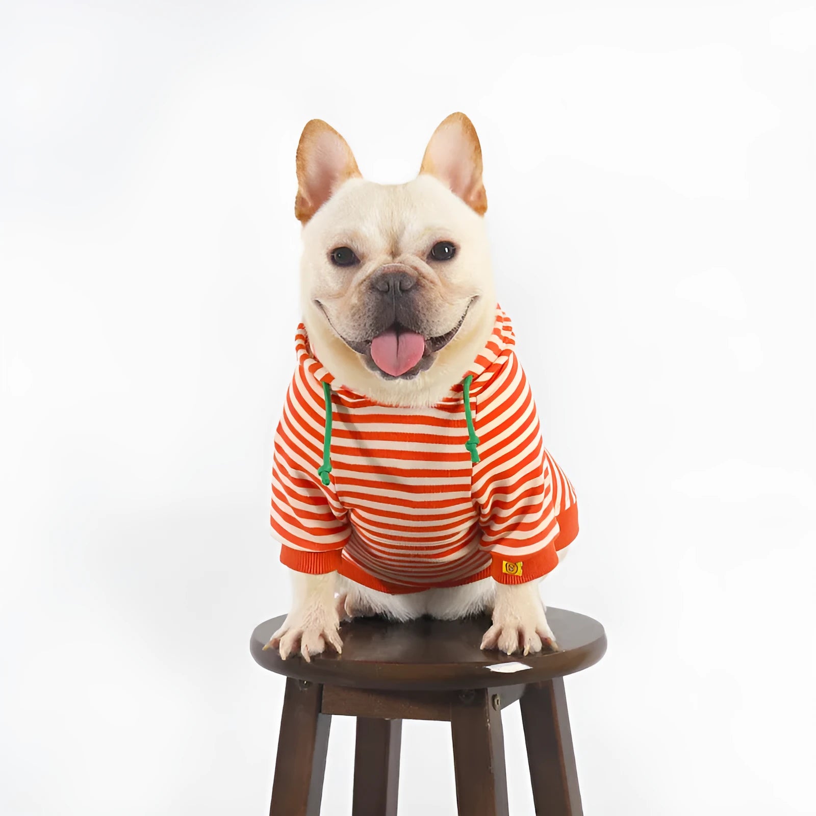 Orange cotton dog hooded sweater with Jarre Aero Bull Pug design pet clothing