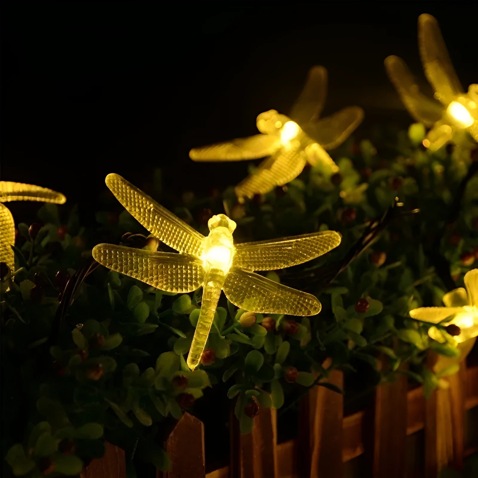 Outdoor solar-powered dragonfly string lights with 20 warm white LEDs on a 5 metre cable and IP65 waterproof rating