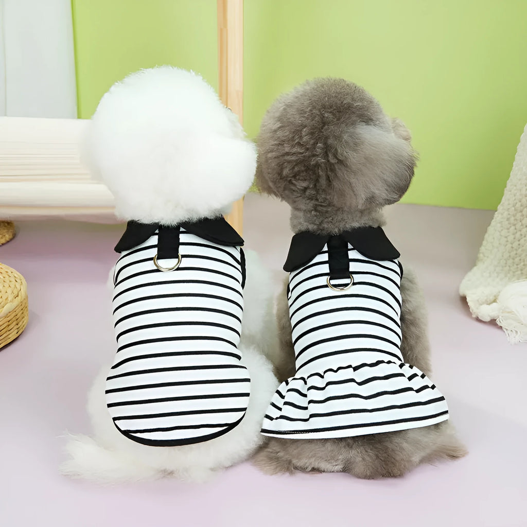 Pet wearing striped cotton T-shirt and skirt summer clothing set