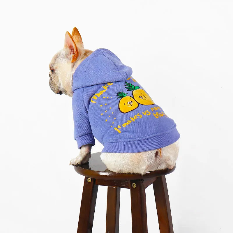Blue and purple cartoon print cotton plush hoodie for a small dog on a neutral background