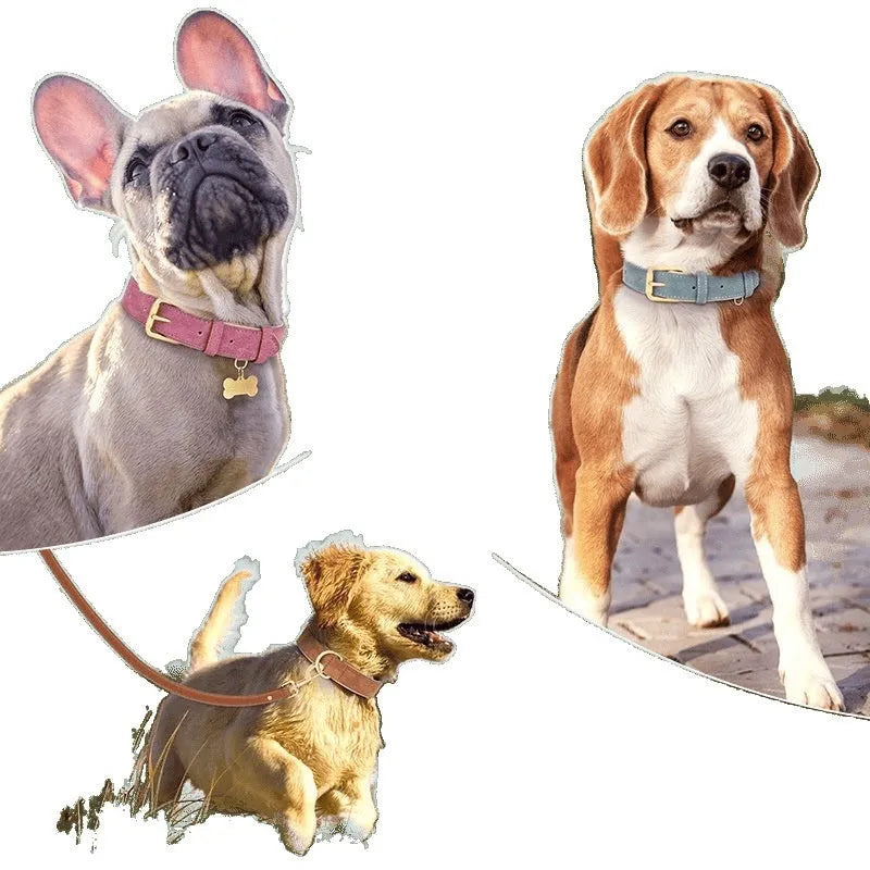 Brown double-layer leather dog collar and matching leash set on a white background.