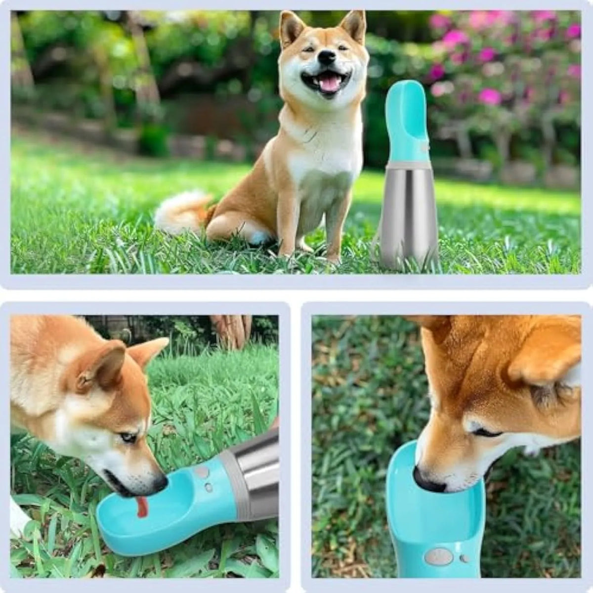 Blue 700ml stainless steel portable dog water bottle with built-in bowl and silicone drinking cup