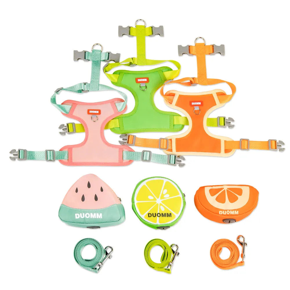 Pet backpack chest strap harness with anti-slip traction rope in green colour