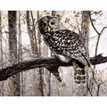 Owl digital painting kit showing printed 40x50cm canvas, nylon brushes, and pots of acrylic paint.