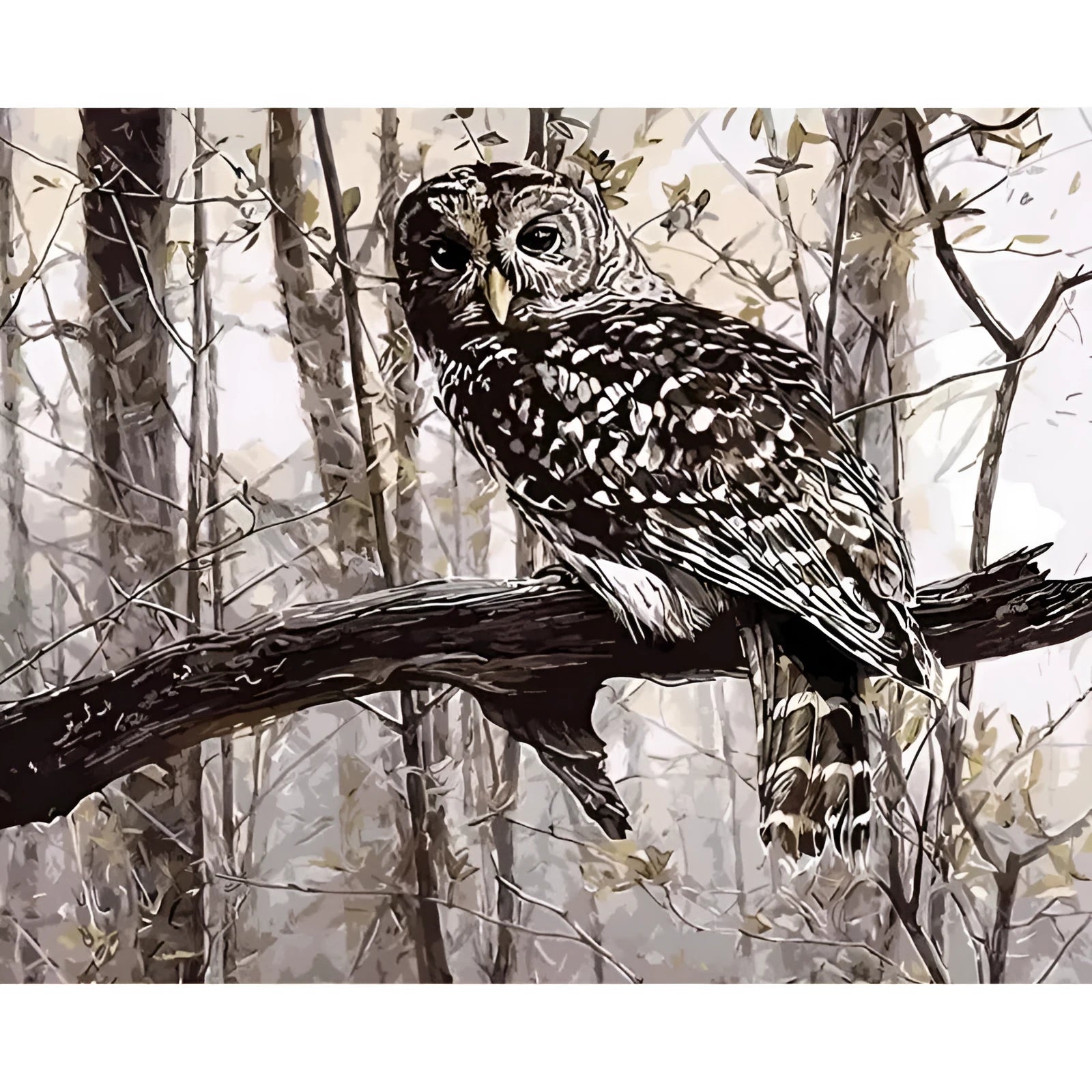 Owl digital painting kit showing printed 40x50cm canvas, nylon brushes, and pots of acrylic paint.