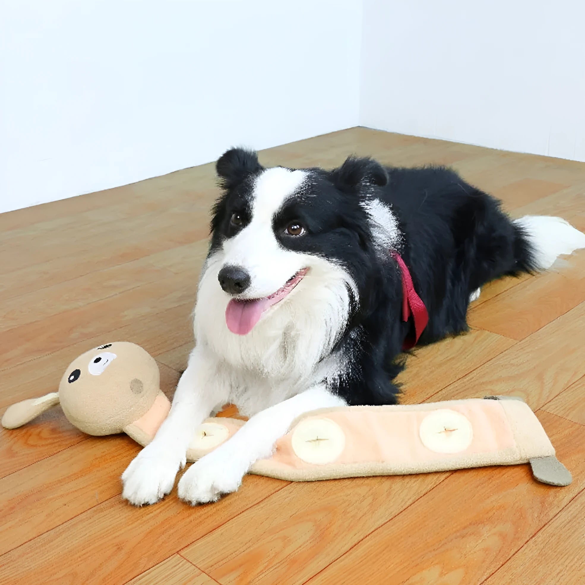 Plush dog sniff toy in poached bunny colour with food hiding and soundmaking features