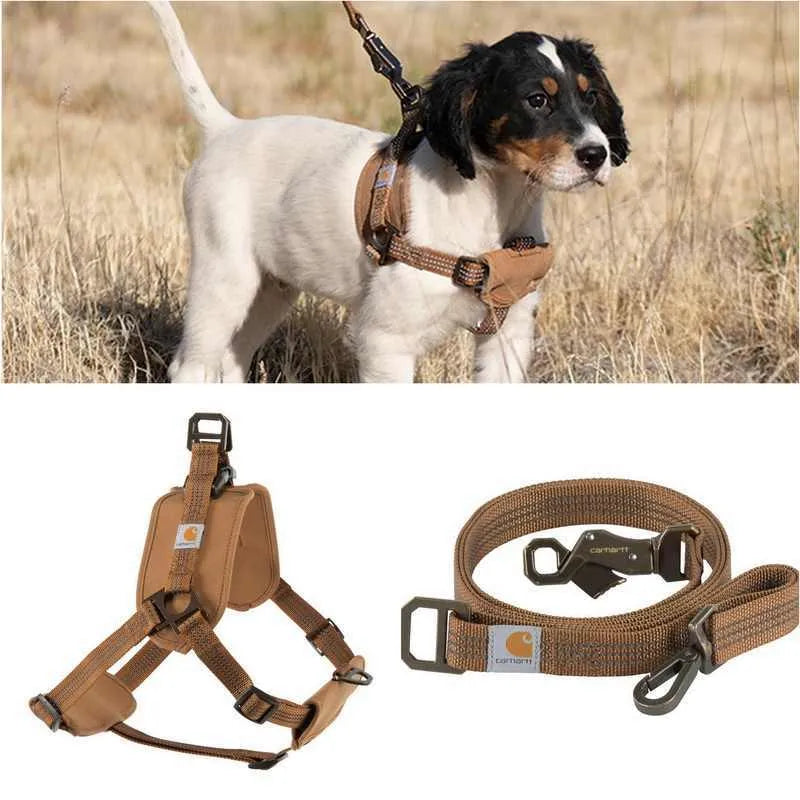 Dog chest strap training belt and reflective hand holding rope set in sports style.