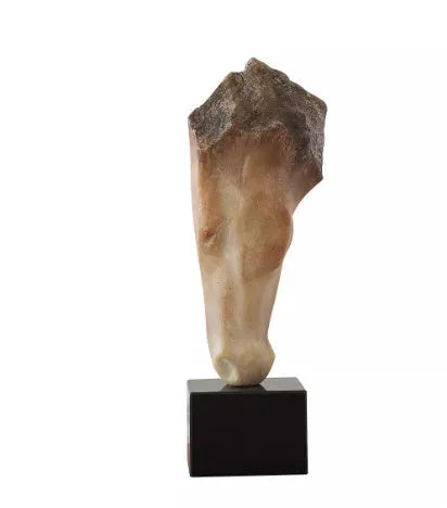 Abstract carved horse head desktop sculpture ornament in French retro style
