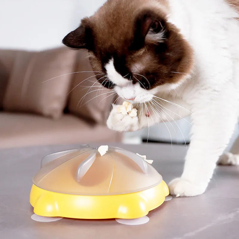 Yellow pet entertainment plate for cats serving as dual-purpose snack bowl and interactive toy