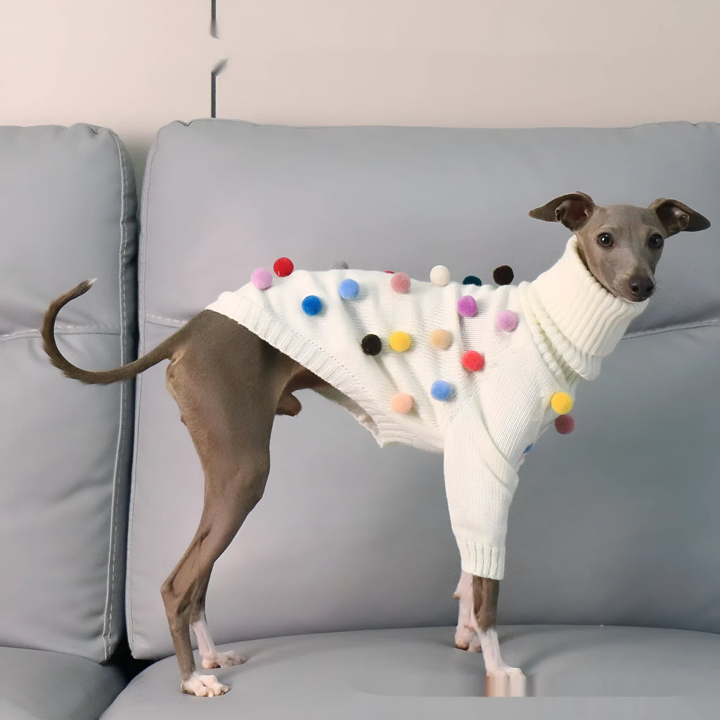 White pom pom Christmas sweater for Italian Greyhound or Whippet unisex acrylic pet clothing
