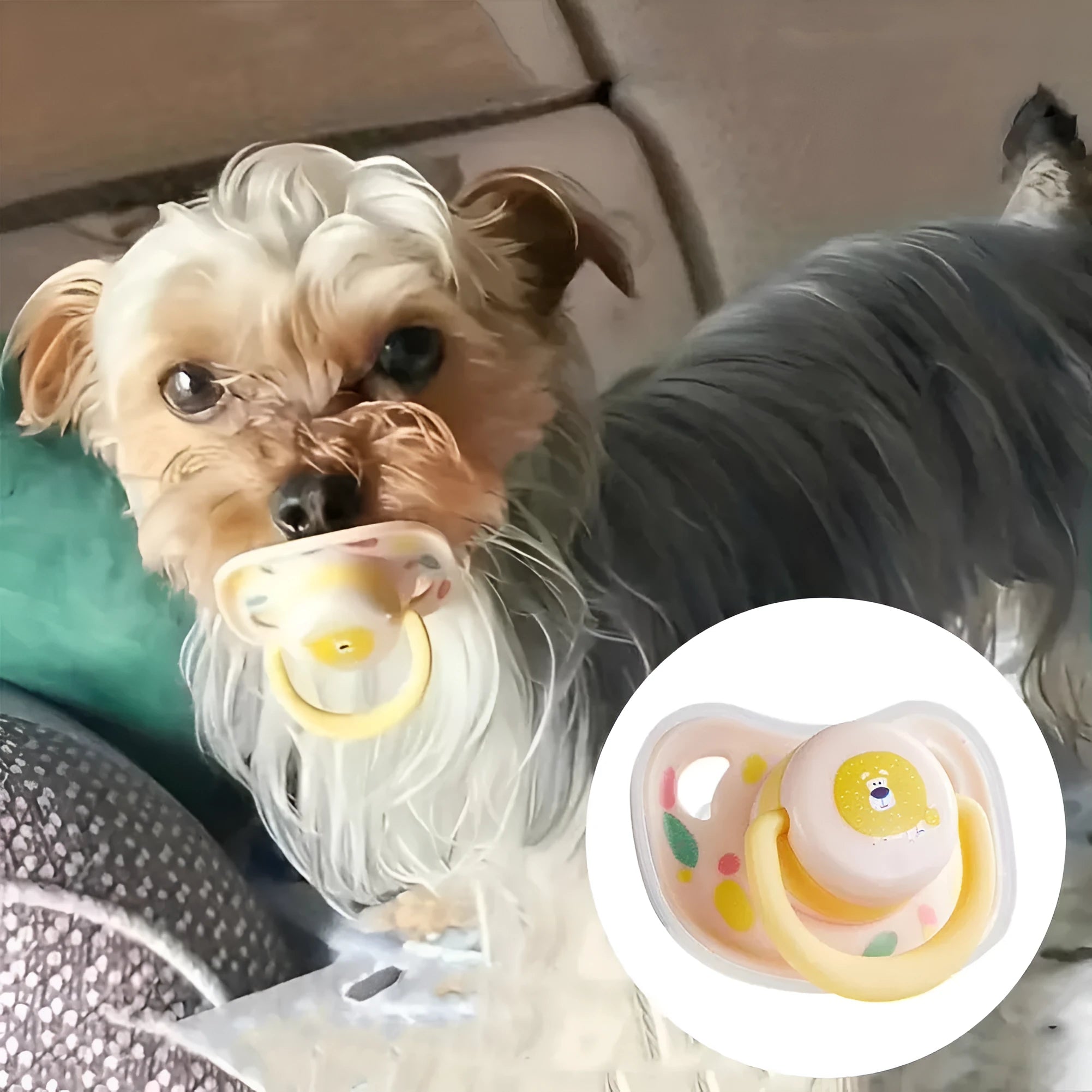 Poodle dog pacifier silicone bite toy with Little Lion colour variant for small dog teething relief