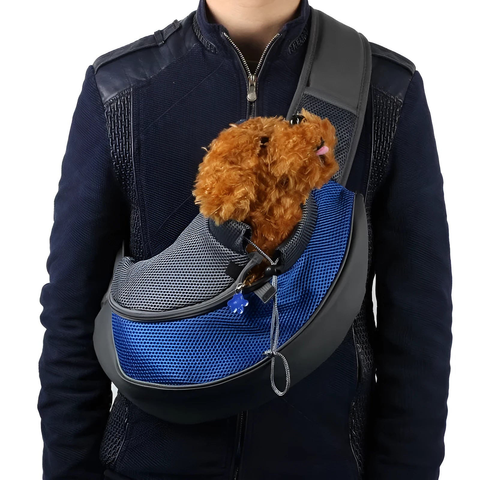 Polyester pet backpack carrier in blue colour showing structured design with ventilation and carrying straps