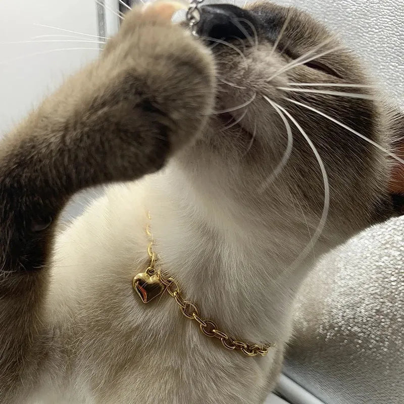 Stainless steel pet necklace with love heart pendant in gold or silver finish on curb chain