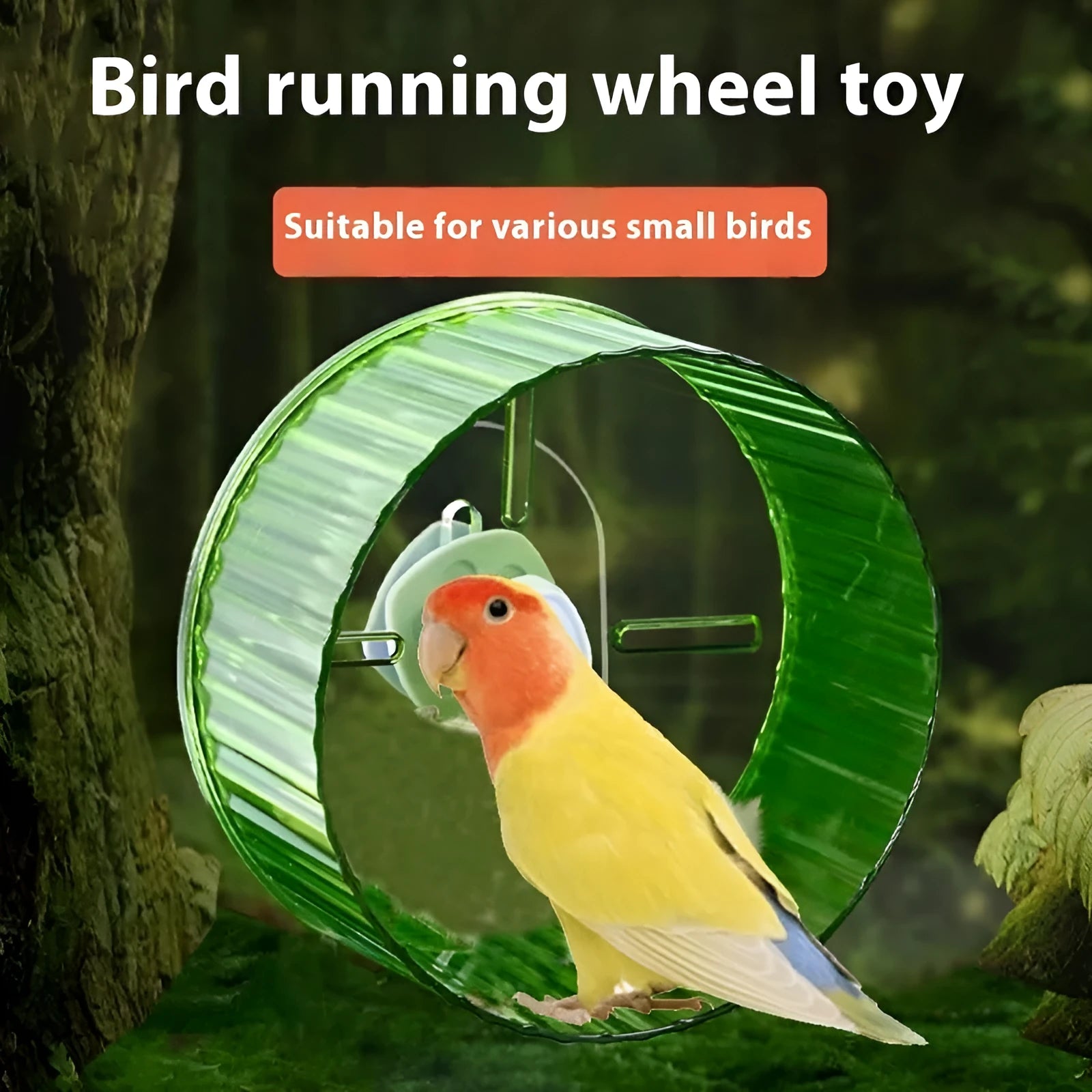 A transparent plastic parrot running wheel exercise toy with a 21cm diameter, mounted on cage bars.