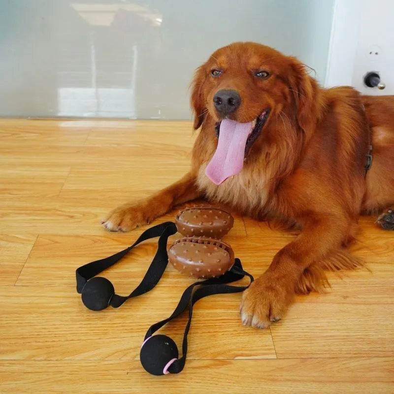 Coffee coloured TPR rubber dog chew toy shaped like a coffee bean with an integrated rope knot.