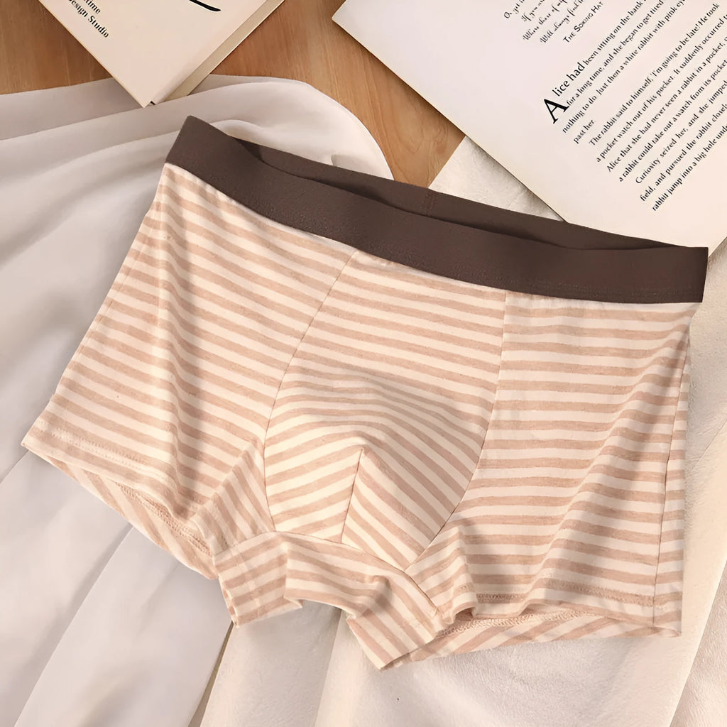 Men's mid-waist cotton boxer briefs with breathable mesh bottom crotch and non-printing coloured cotton fabric, sizes L-4XL.