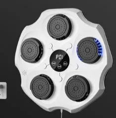 Black Bluetooth music boxing wall target hanging on a wall with included gloves.
