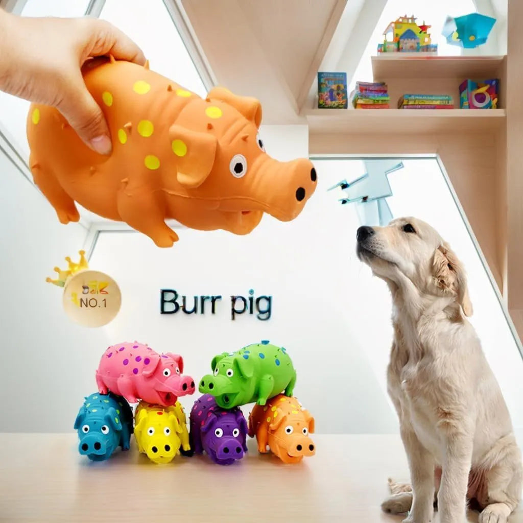 Pig-shaped latex dog chew toy with protuberant grain surface and squeaker, shown in assorted colours