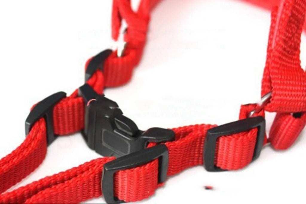 Soft-lined pet harness traction belt in blue with adjustable nylon chest strap