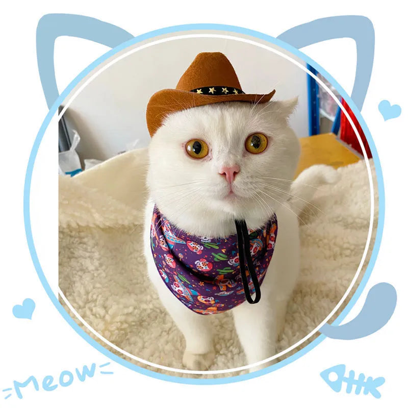 British cat cowboy hat pet costume accessory in multiple colour options with velvet belt, ribbon and rope trim decorations