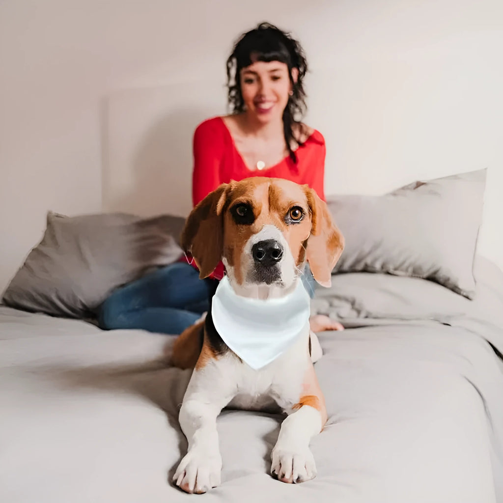 White blank polyester dog scarf showing four size options for thermal transfer personalisation