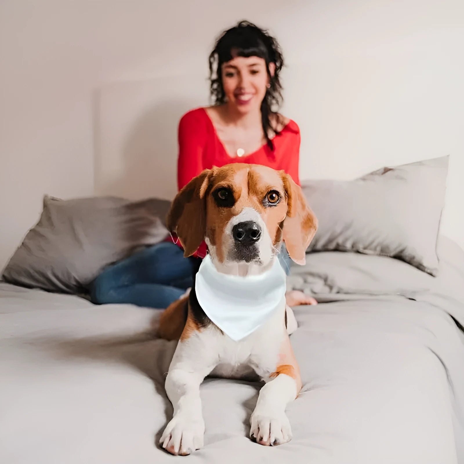 White blank polyester dog scarf showing four size options for thermal transfer personalisation