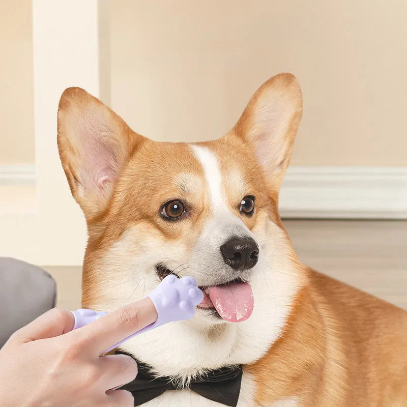 Silicone finger cover toothbrush for dogs and cats in pink, purple, yellow, and white.