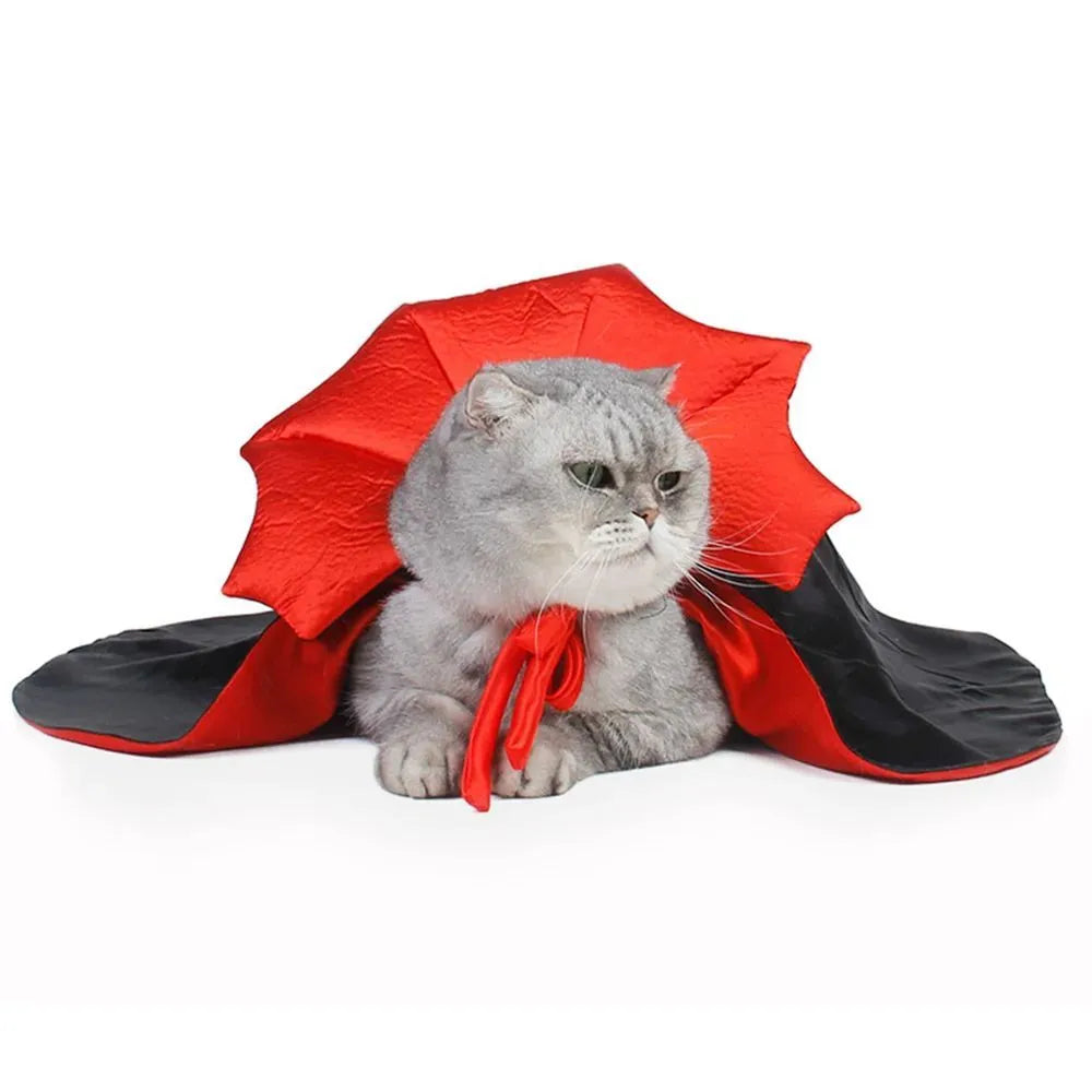 Black Halloween vampire cloak pet costume with bat-wing collar for small dog or cat