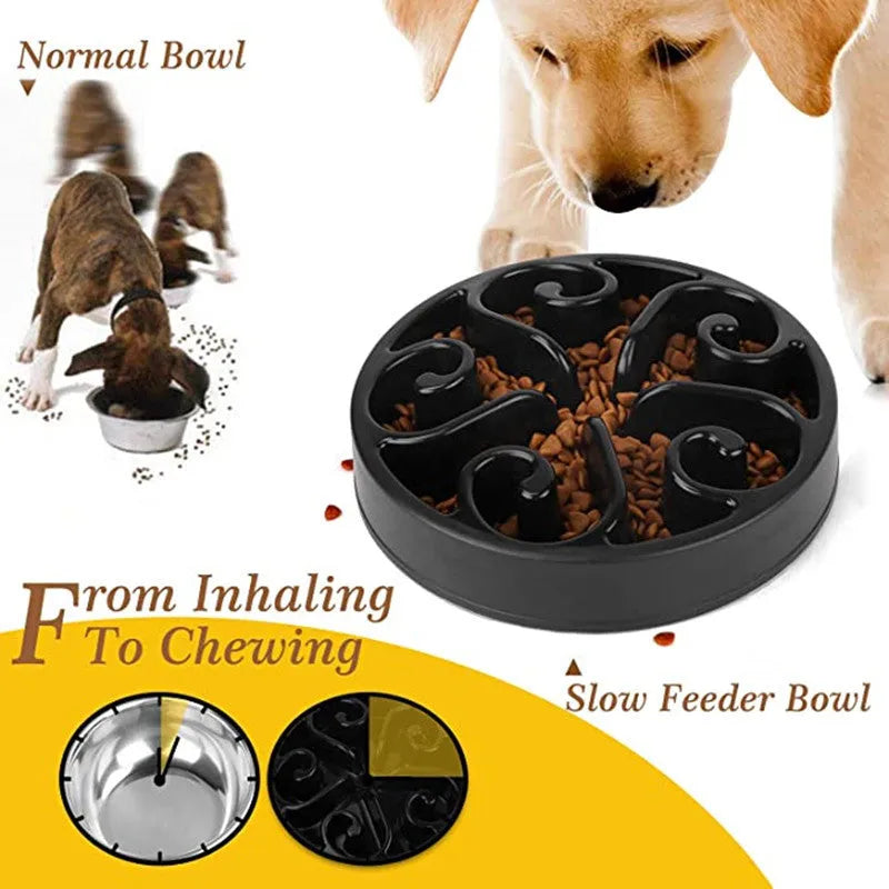 A slow feeder dog bowl with a maze pattern inside and a non-slip base, shown in blue.