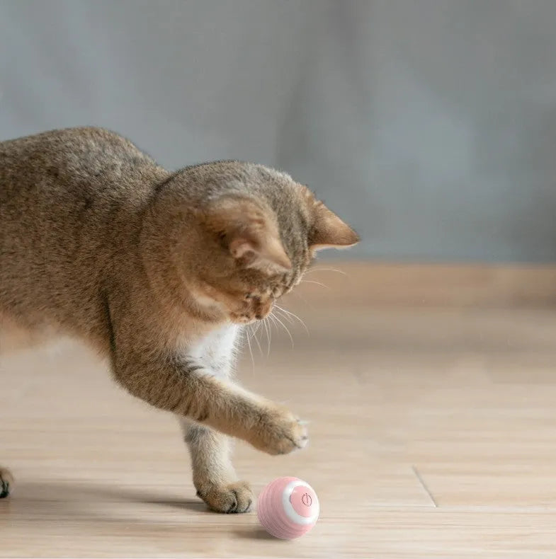 Rechargeable silicone automatic moving cat toy ball in blue and pink for indoor cats and kittens