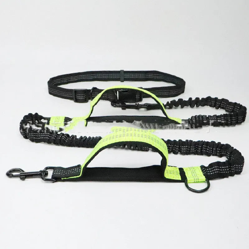 Blue adjustable dog running belt with waist attachment and retractable leash on a grey background.