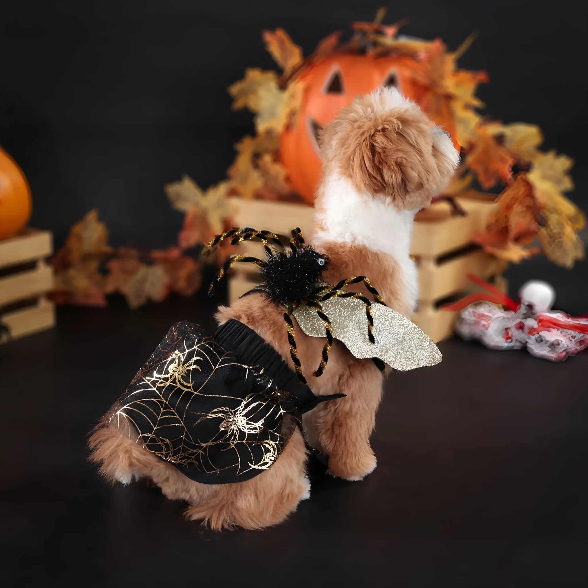 A dog wearing a polyester suit costume for Halloween, shown in sizes S, M, L, and XL.