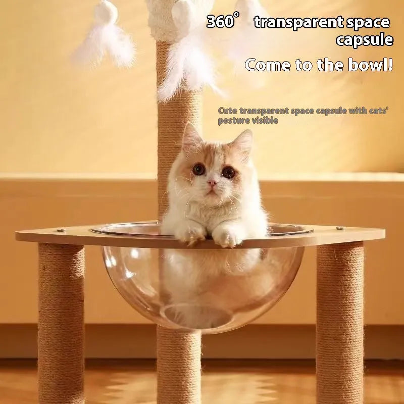 Wooden cat climbing frame with integrated space capsule and multiple climbing levels