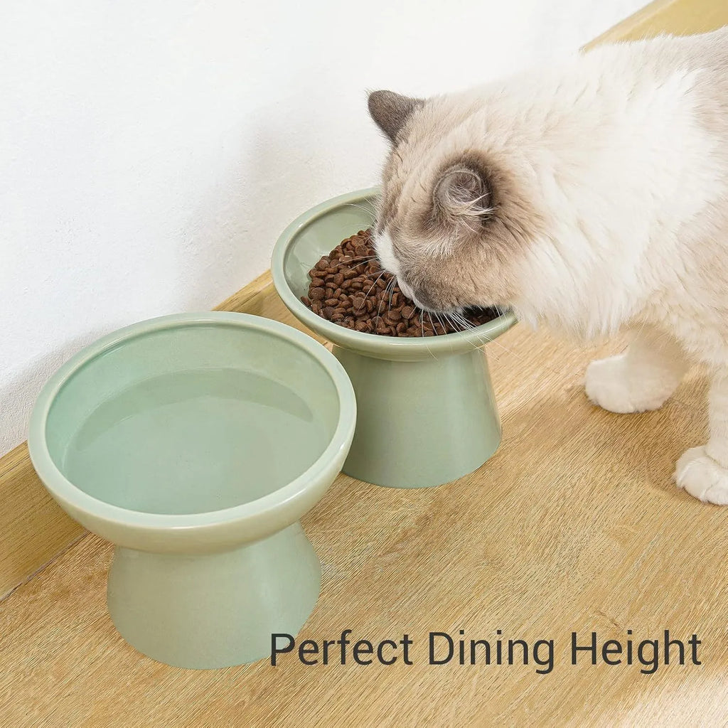 Blue elevated ceramic cat bowl with wide shallow dish for food or water.