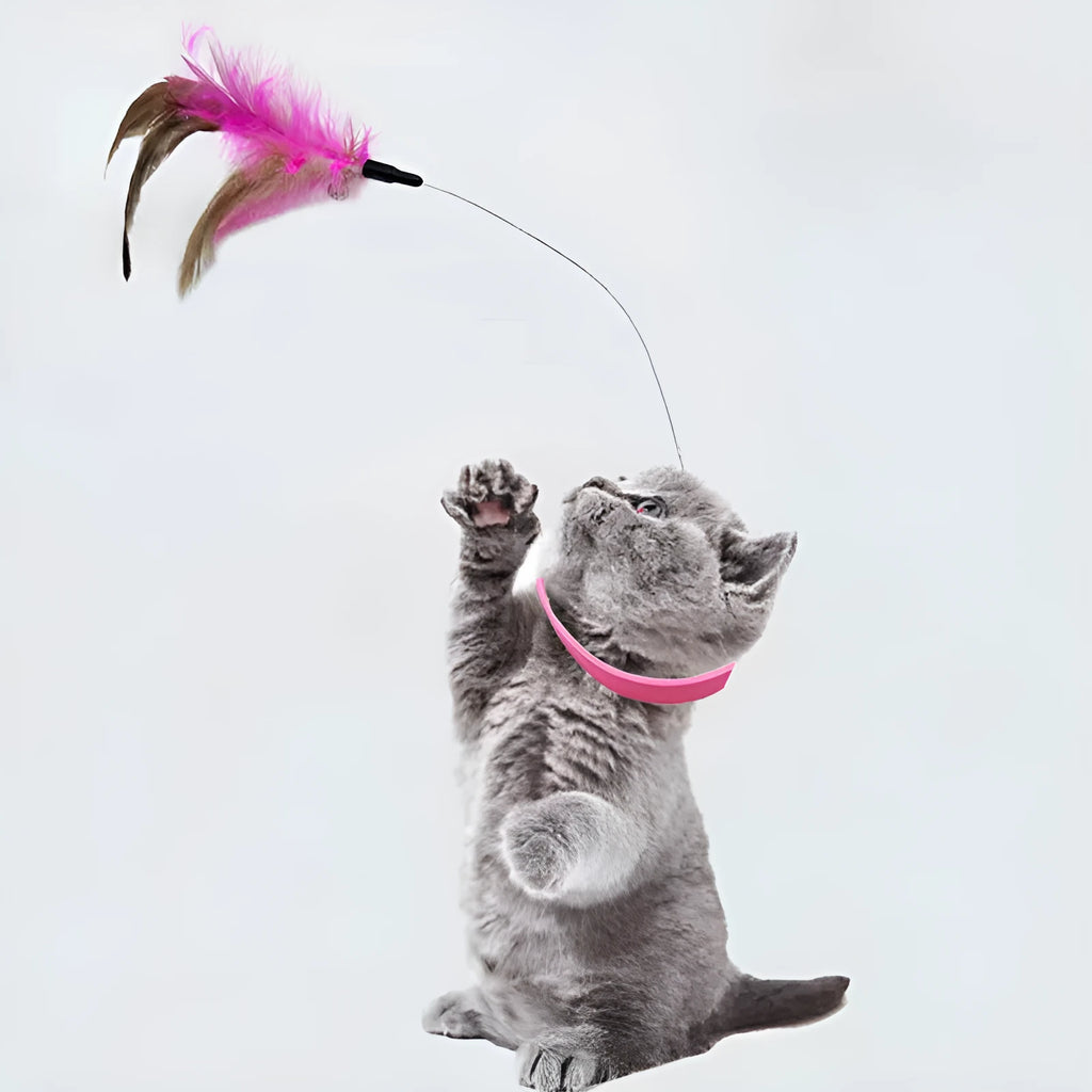 Blue adjustable cat collar with attached feather wand toy and small bell
