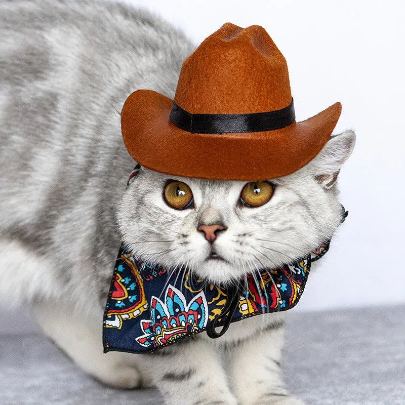 Pet cat western straw cowboy hat in brown colour on cat head