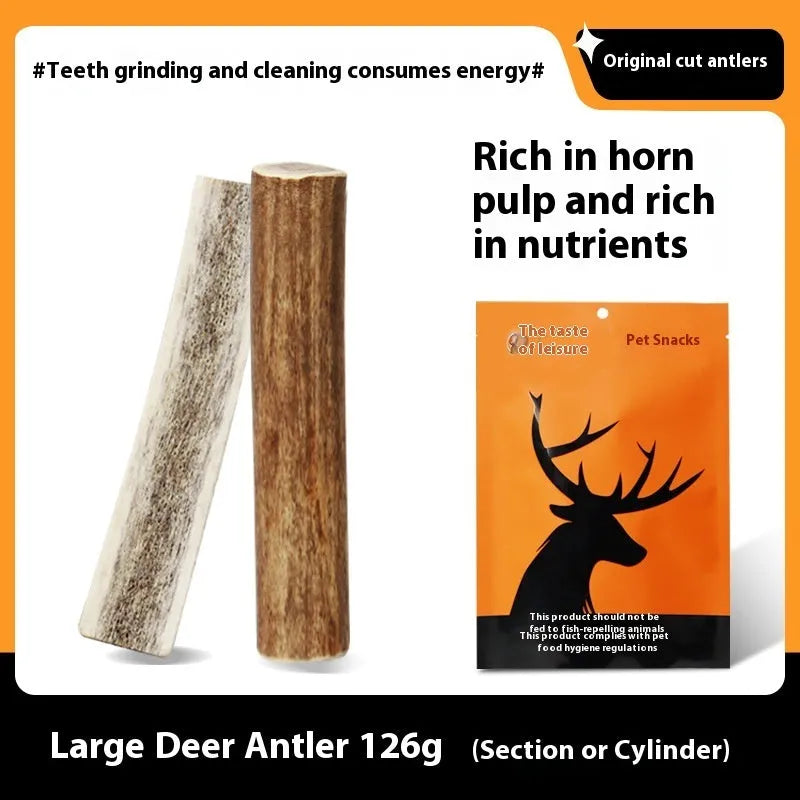 Natural antler dog chew on white background, three sizes available small medium large