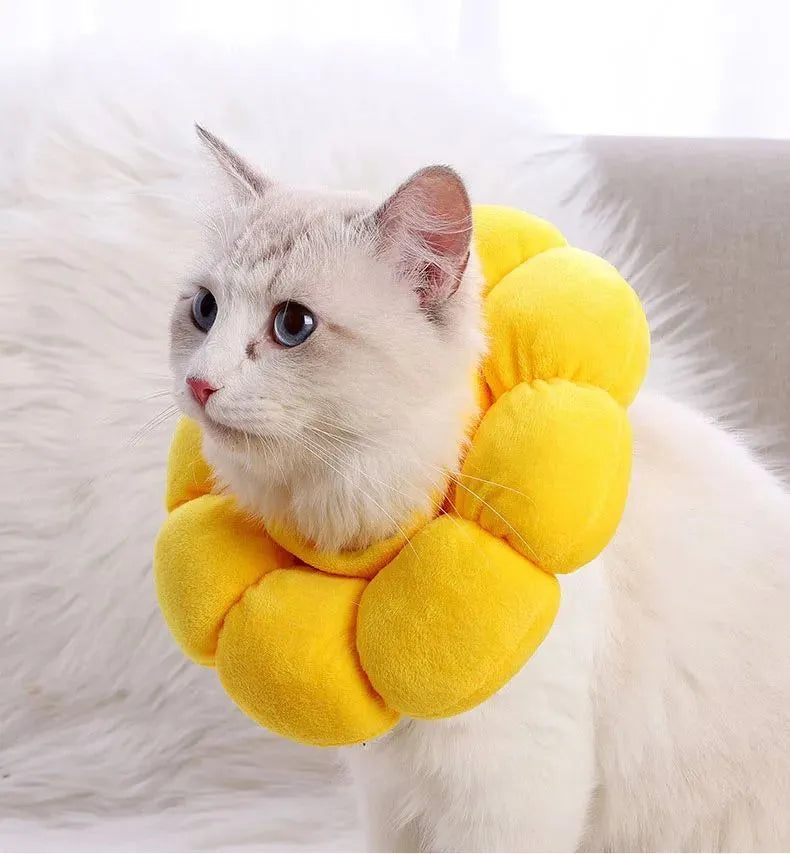Sunflower patterned cotton recovery collar for a cat or small dog, showing adjustable band.