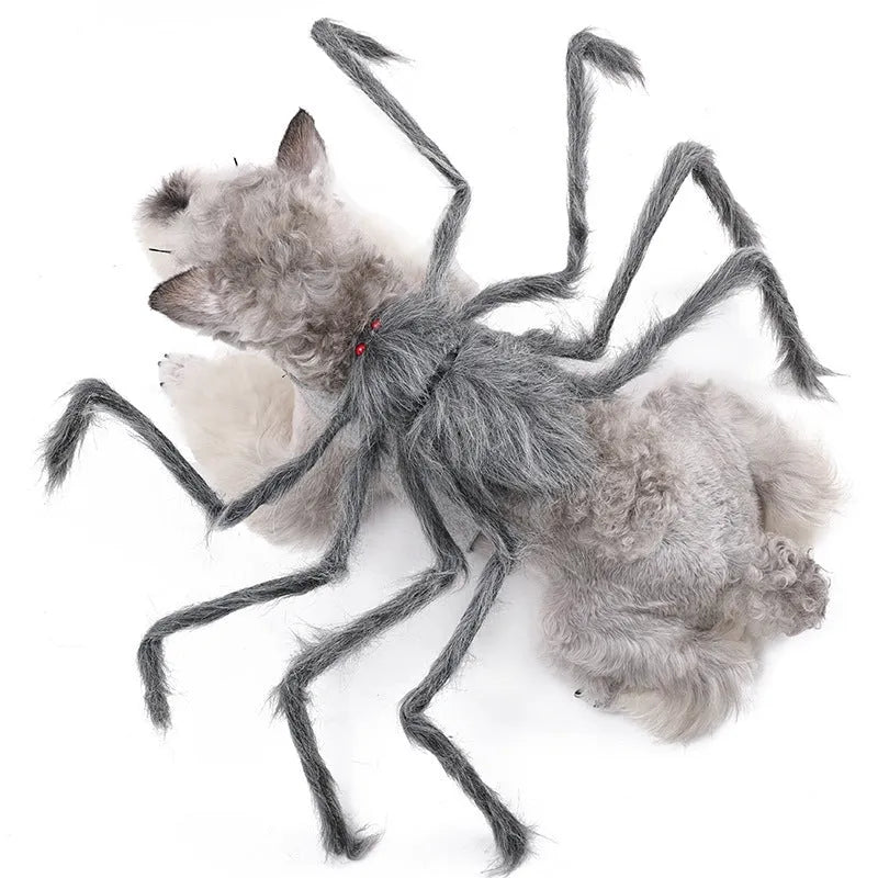 Grey and black spider Halloween costume for a dog on a carpet