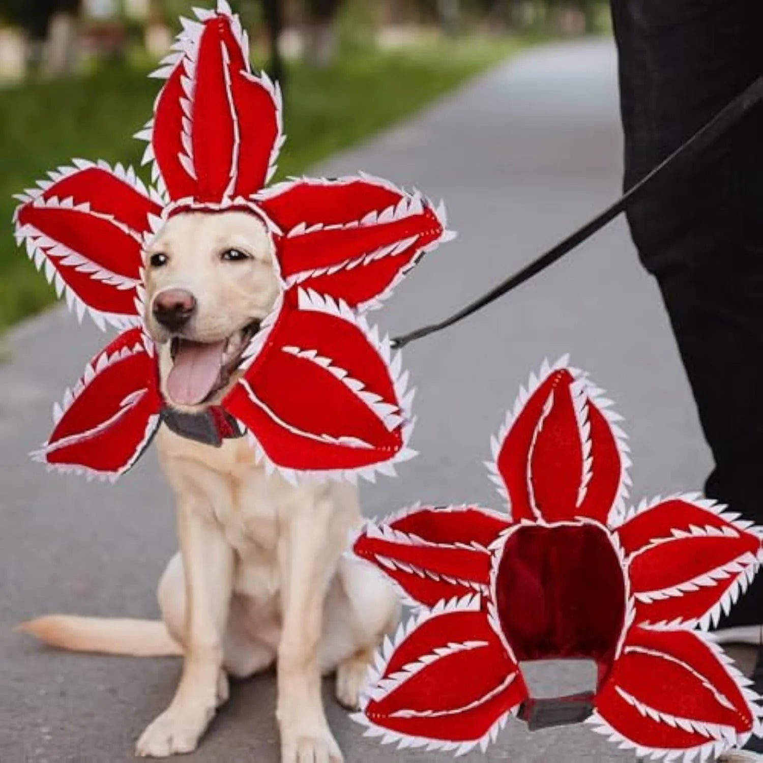 Halloween dog costume headband with chomper mouth, demon horns and alternative flower crown for medium-sized pets