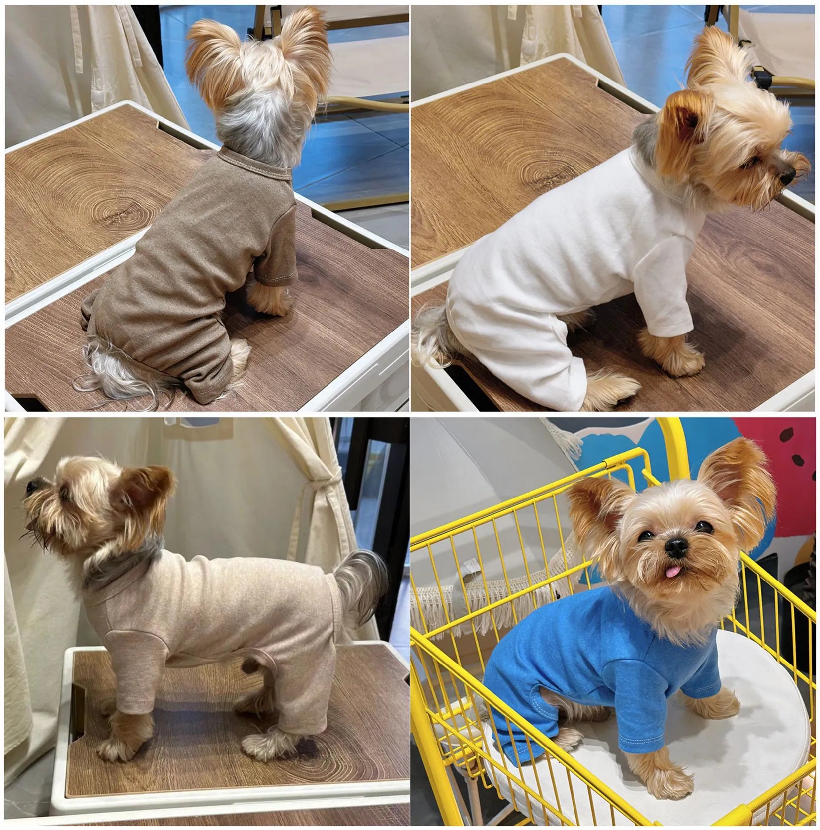Four-legged cotton pet undershirt for small dogs in solid colour, sizes S to XXL