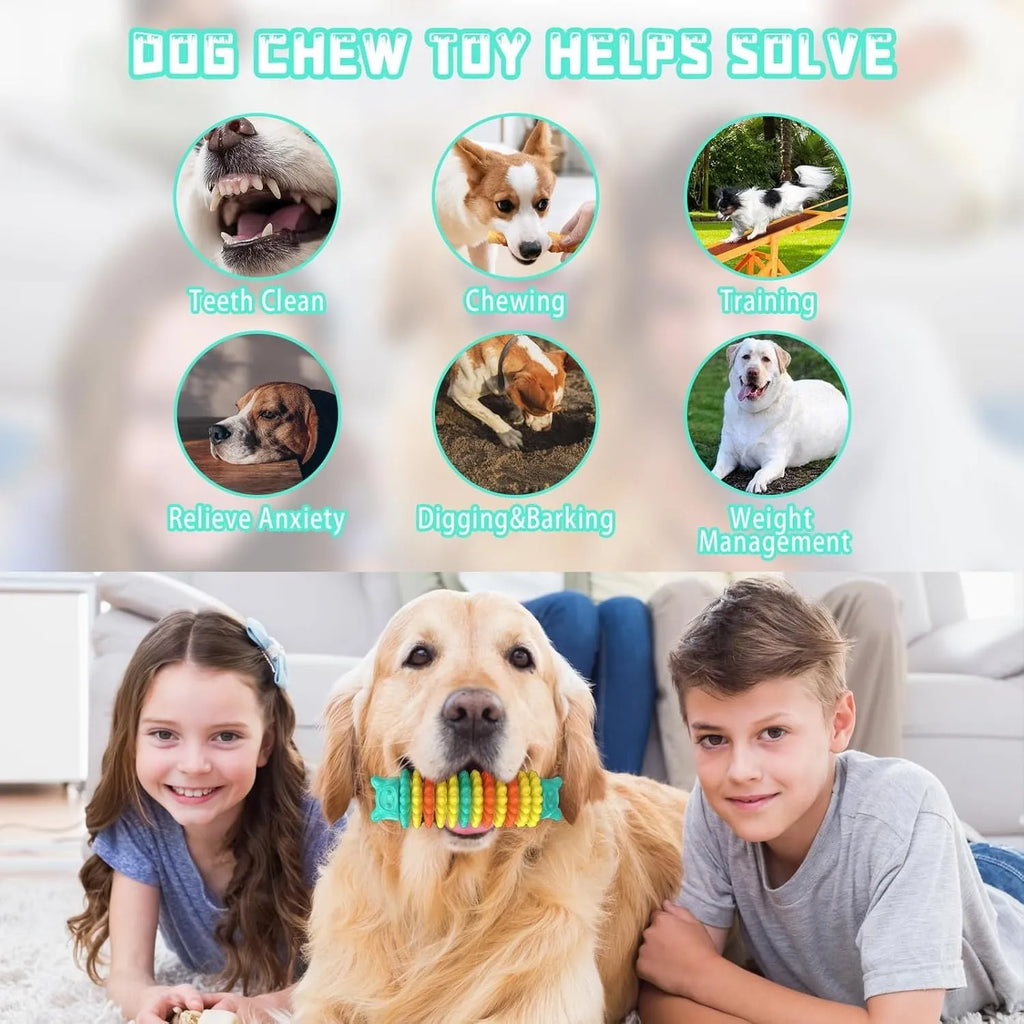 Blue green pink caterpillar-shaped natural rubber chew toy for dogs on a white background