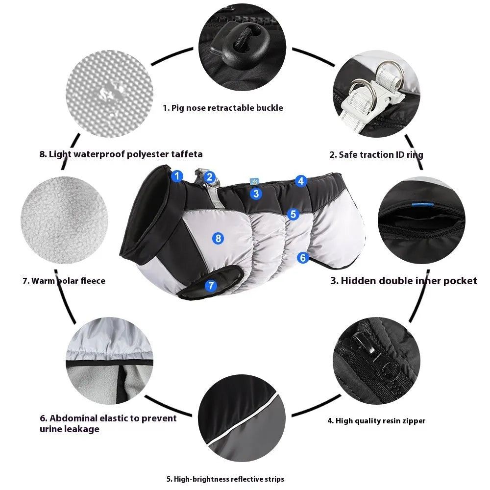 Big dog wearing reflective waterproof winter coat in polar fleece