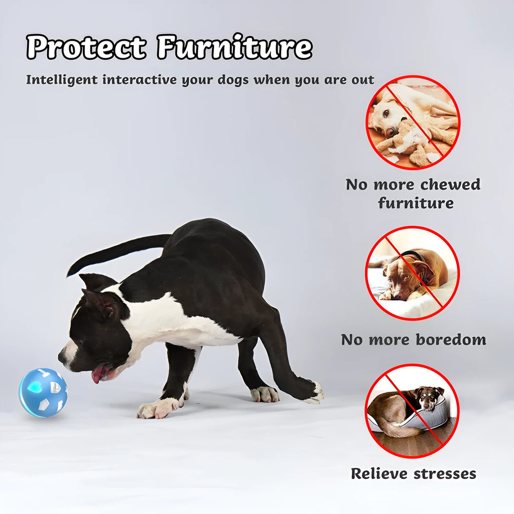 Blue smart electric pet ball with automatic induction, USB rechargeable, 7.2 cm size, for small dogs and cats