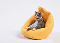 Lazy cat figurine on sofa miniature model car ornament, approximately 7.5cm high.