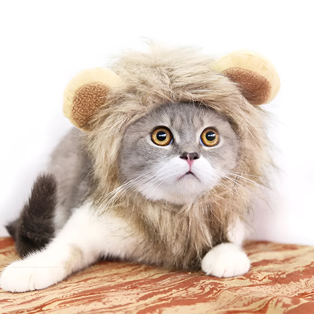 Lion mane pet hat for small dogs and cats, Size M neck 26-30cm, funny Halloween costume wig